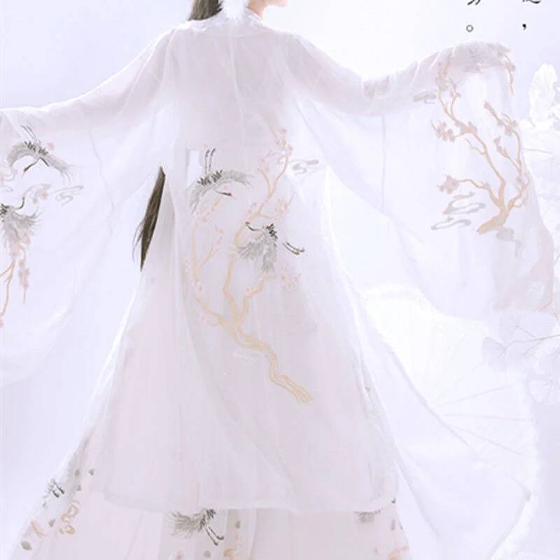 Chinesische alte Hanfu Damen S – Embroidery Shirt Bewertung und Preis