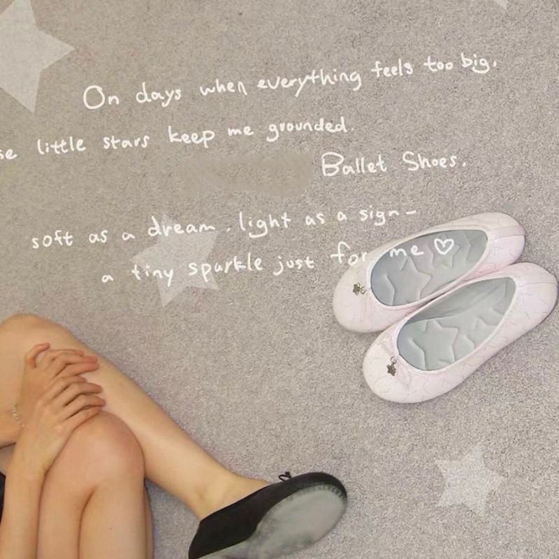 Ballettschuhe mit Schleifen –  – Embroidery Flat Shoes Bewertung und Preis